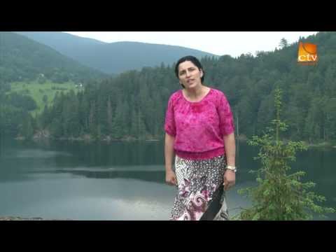 Ani Rogojan - Mai este loc la cruce