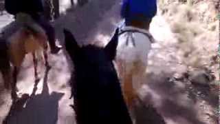 preview picture of video 'Día a caballo'