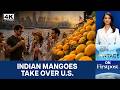 How Did Indian Mangoes Become America S Hottest Luxury Obsession Vantage On Firstpost 4K