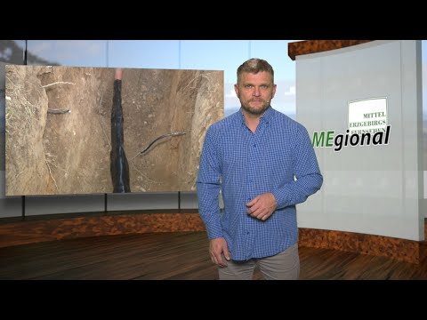 MEgional am 18. Oktober 2018