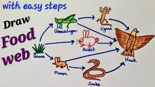 Food web drawing easy, Grassland ecosystem drawing easy, How to draw food web, food web drawing 5