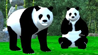 เพลงหมีแพนด้า -  เพลงเด็กพี่นุ่น น้องภูมิ  By KidsMeSong