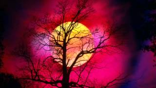 Il Mandorlo (Nino Buonocore cover)  - Giampiero del Buono