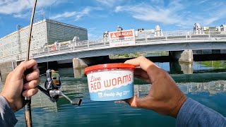 Old School Worm Fishing in Dangerous Waters | How to Catch TONS of Fish at a Dam