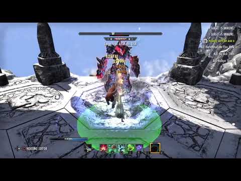 ESO - Magicka Warden DPS Test
