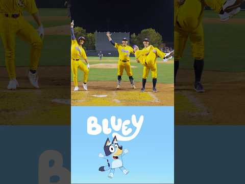 Savannah Bananas and Bluey cross over episode #shorts#bluey #funny#dance#tv#superbowl#baseball#dance