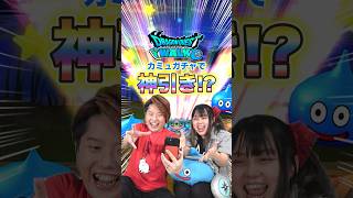 【ドラクエウォーク】カミュの月輪が欲しい夫婦の大騒ぎガチャシーン集w【切り抜き】#shorts