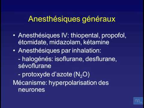 L'anesthésie   introduction