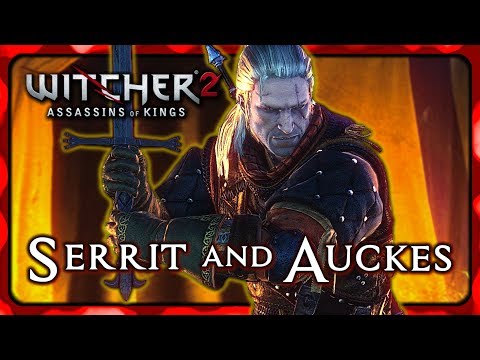 Viper School Witchers Attempt to Kill King Henselt - Witcher 2
