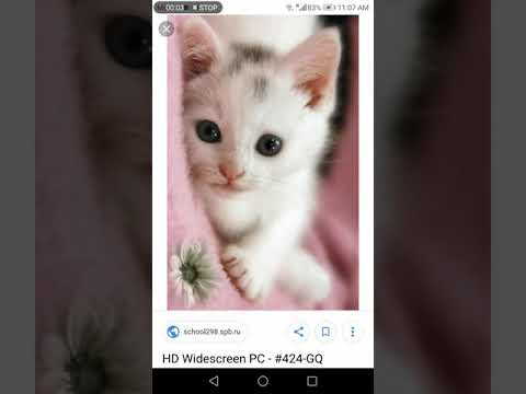 Adolf l in real life