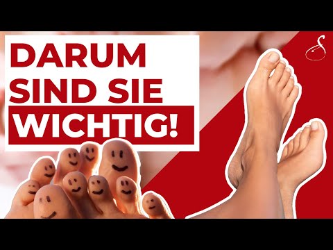 Was deine FÜßE mit deiner KÖRPERHALTUNG zu tun haben! │ SanoGym
