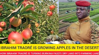 How Ibrahim Traoré Is Growing Apples In The Desert of Sahel