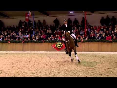 Antango *2009 by Ampère - Jazz (Stallion Show Sosath 2013)