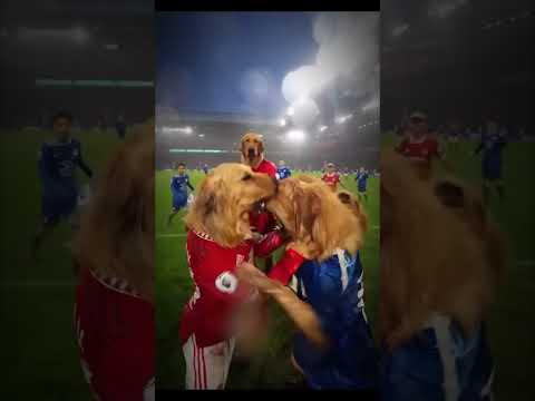 Pov: Footballers as Pets ☠️
