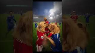 Pov: Footballers as Pets ☠️