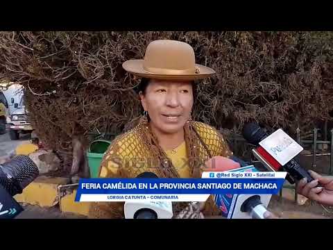 FERIA CAMÉLIDA EN LA PROVINCIA SANTIAGO DE MACHACA
