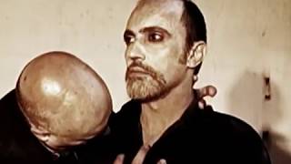 IAMTHESHADOW - Embracing The Fall (official video)