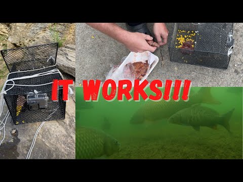 GoPro on a Chum Bucket in a Dam Spillway! HUGE Carp and Striper!