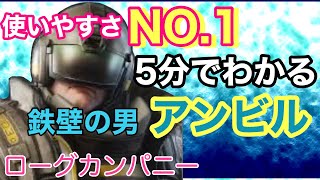 【ローグカンパニー】サクッとわかる！初心者オススメ[アンビル]紹介!【ぺろる】