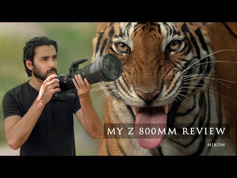 My Nikon 800mm Review for Wildlife | Two months later