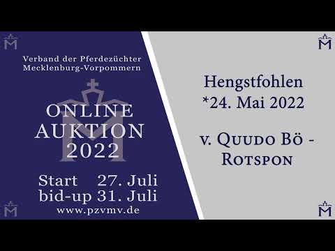 Nr. 20 Hengst v. Quudo Bö/Rotspon/Mont Du Chantal AA