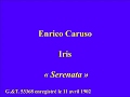 Enrico Caruso   Iris   Serenata   G &T 52368 Mx 1791 enregistré le 11 avril 1902  71 76rpm