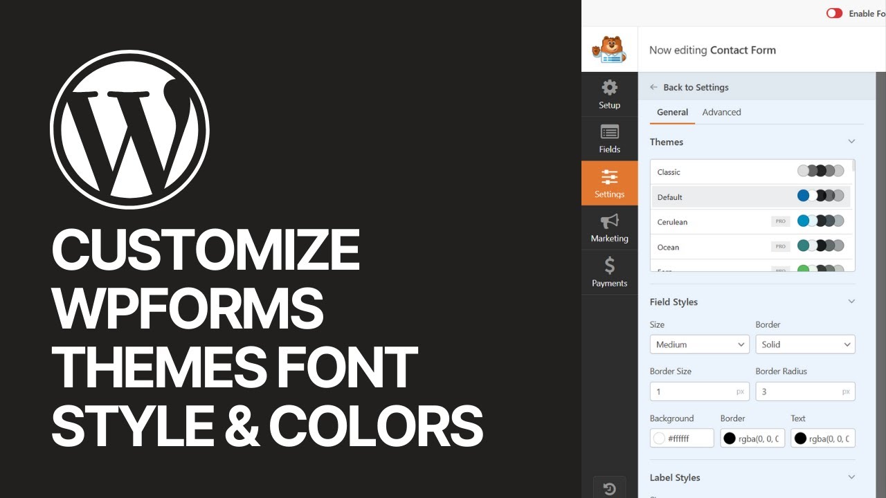 How To Customize WPForms WordPress Plugin Contact Forms Themes? Font Style & Colors