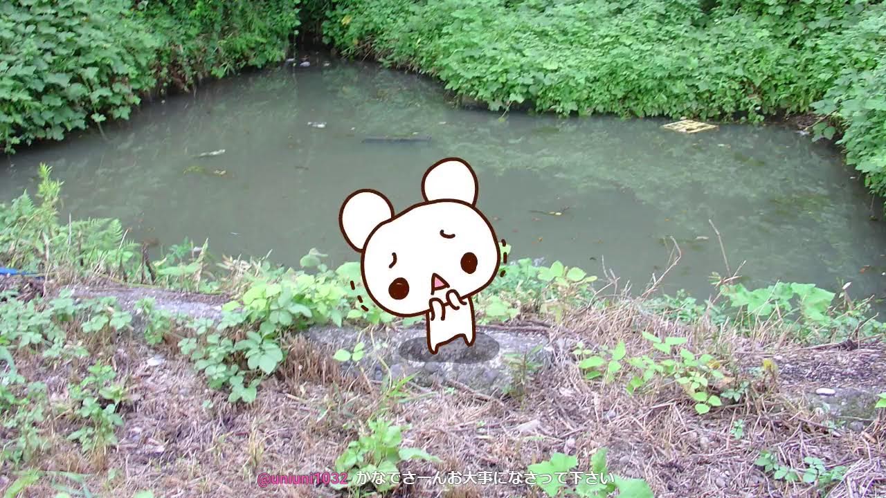 名も無きクマの放送2026/04/03