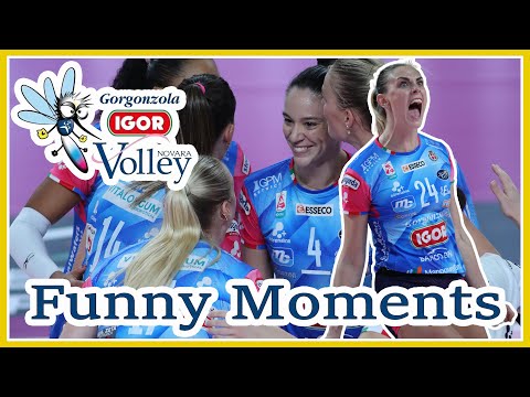 Igor Gorgonzola Novara Volley Funny Moments | Funniest Volleyball Moments