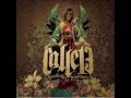 calle 13-la era de la copiaera 