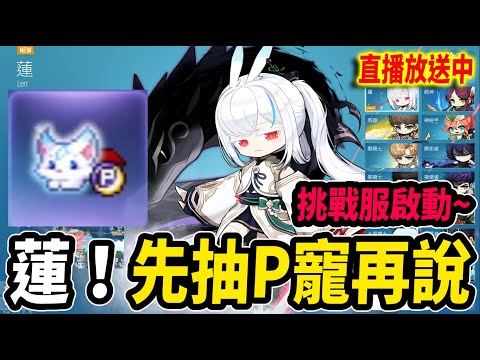 《Leo里歐》超萌新職業『蓮』！先抽一套新P寵來用再說！🔴直播放送中🔴新楓之谷｜Artale懷舊楓之谷｜MapleStory｜메이플스토리 #蓮的大冒險