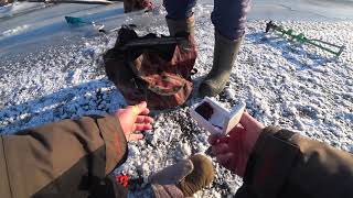 Зимняя рыбалка в шуранах татарстан