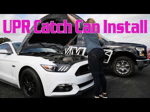 UPR Catch Can Install on 2015+ Mustang