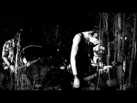 Damn Delicious - Revealed (Official Video)