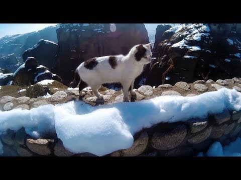 2 winter months told in 2 minutes