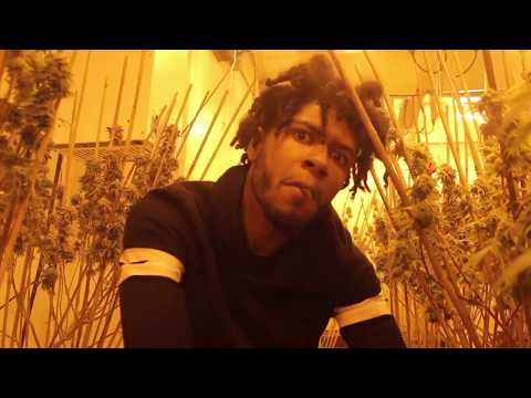 Ro Chapo -Ressurection