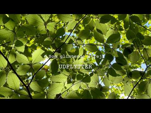 Som glimtende strejf (Official Music Video) No 2 - Albumoptakt - 4 musikvideoer på 4 uger