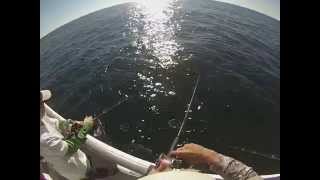 preview picture of video 'Deep Sea Fishing in Gulf Of Mexico'