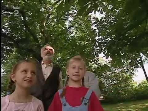 Stromy, Hodina zpěvu 2002 Uhlíř Svěrák