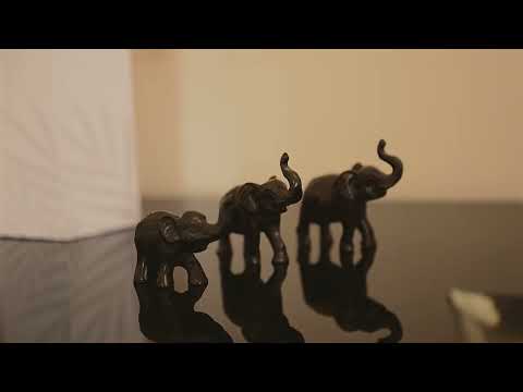 Video for 7 Backhousia Court, North Lakes  QLD  4509