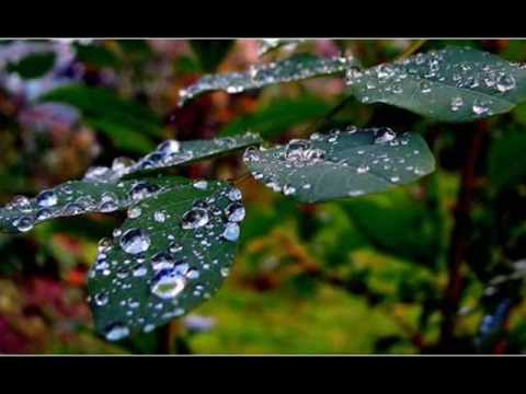 Jan Plestenjak - Pustil ti bom sanje