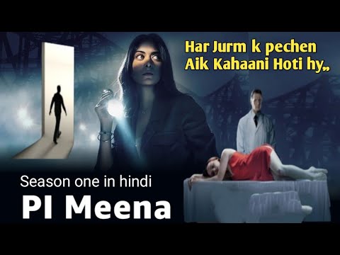 PI Meena Season One  explained in hindi ||Spy Thriller web series in Hindi