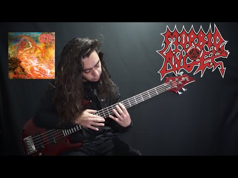 MORBID ANGEL - DESOLATE WAYS [BEST BASS COVER ] ONE TAKE TAPPING