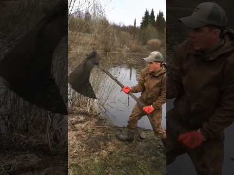 🧲 The biggest find while magnet fishing!