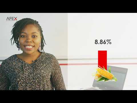 Frontier Africa Reports