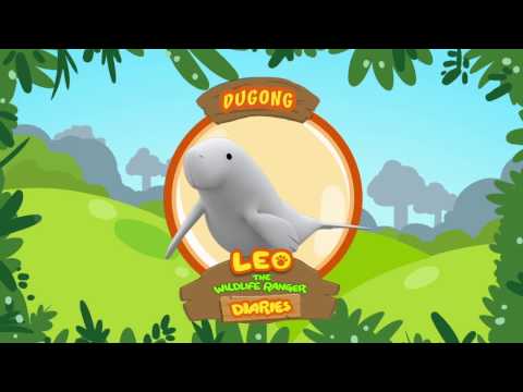 Witness21 Editor  2017 11 03