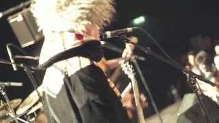 The Melvins-Roman Bird Dog.(live).