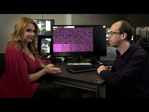 EvoCell Minitutorial