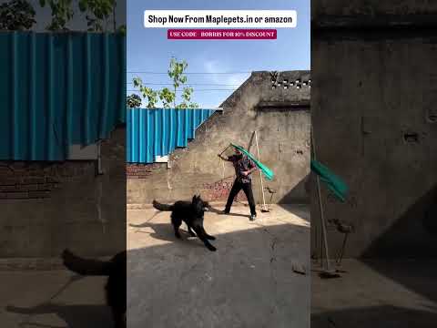 Best dog food for your furry friend shop now from @maplepets_international