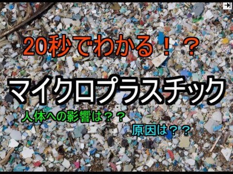 マイクロプラスチックは魚の幼生を脅かす